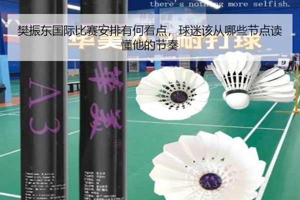 樊振东国际比赛安排有何看点，球迷该从哪些节点读懂他的节奏